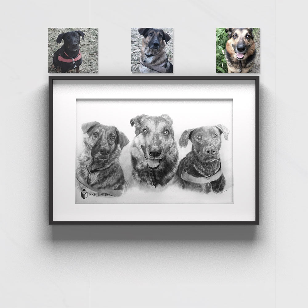 Hundeportraits zeichnen lassen Bleistift Hundezeichnung Sketchus Portrait