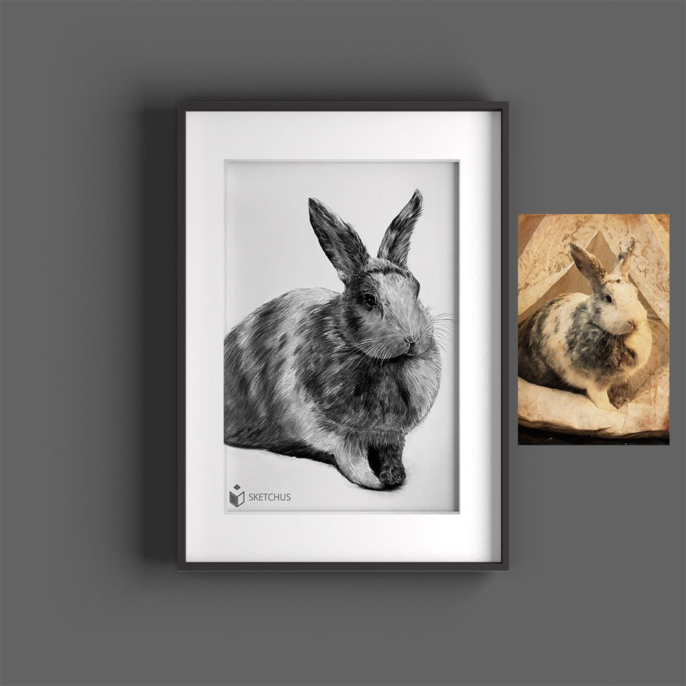 Kohlezeichnung Kaufen Sketchus Portrait Tierportraits